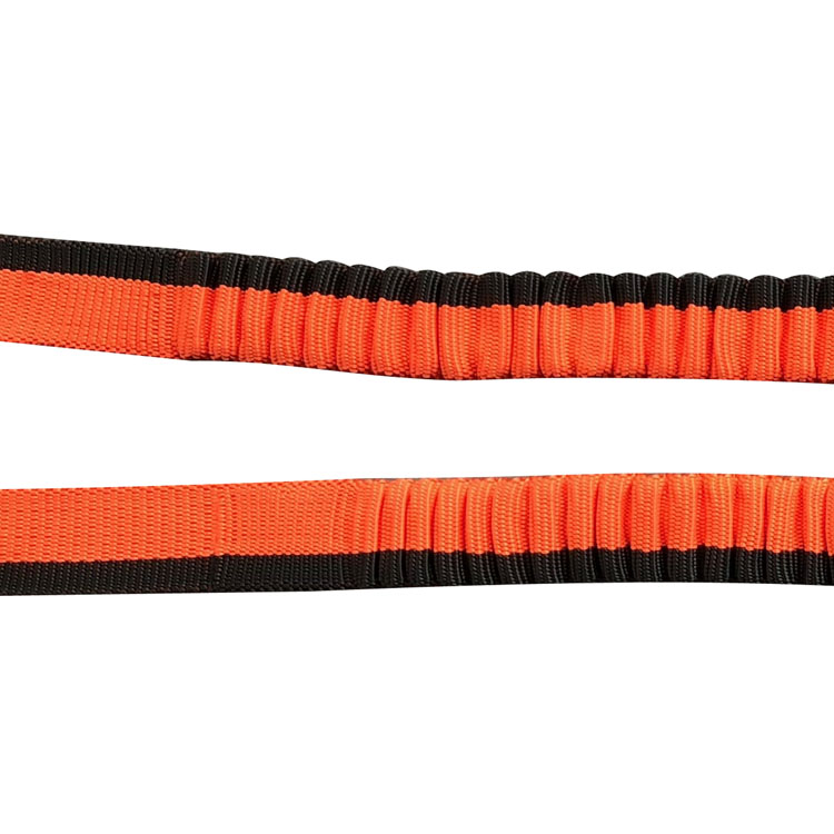 Bungee Dog Leash 