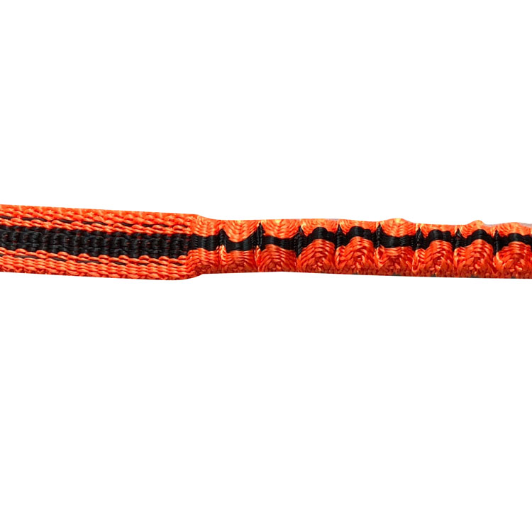 long bungee dog leash