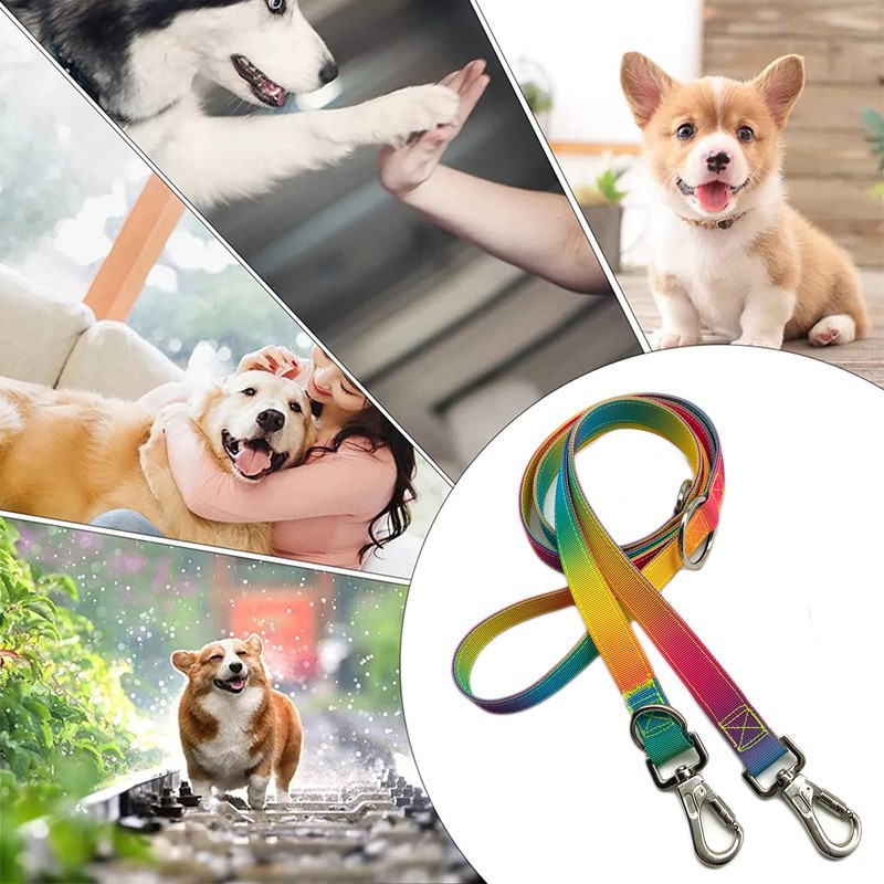 Hands Free dog leads -3 Hands Free dog leads -3