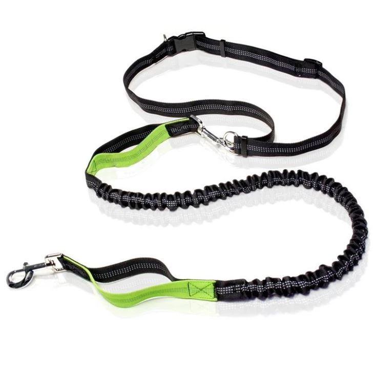Mains Libres Chien Laisse