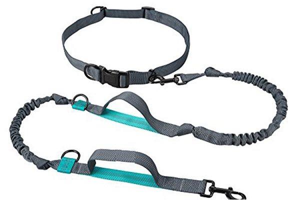 Hands Free Dog Leash