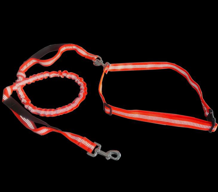 Laisse réfléchissante orange pour chien
